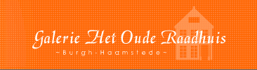 www.galeriehetouderaadhuis.nl